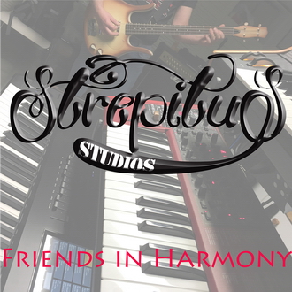 Our latest album – Friends in Harmony.